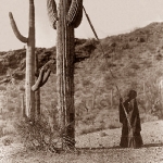 Gathering-Fruits