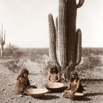 Saguaro-Gatherers