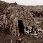 grass-indian-hut